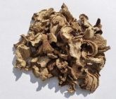 Funghi Seco 1 Kg