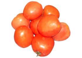 Tomate Maduro Especial Molho CX